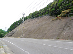 道路ストックの点検