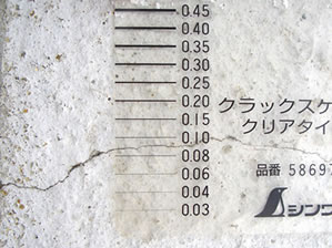躯体のひび割れ